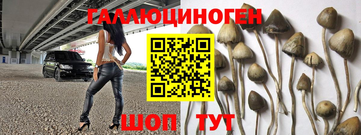 Дивногорск  Галлюциногенные грибы ЛСД  Галлюциногенные грибы Magic Shrooms  как найти закладки  Вход с VPN 