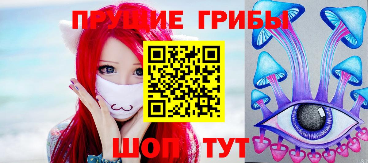 Псилоцибиновые грибы Psilocybe Дивногорск